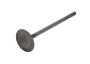 View Engine Intake Valve Full-Sized Product Image 1 of 10